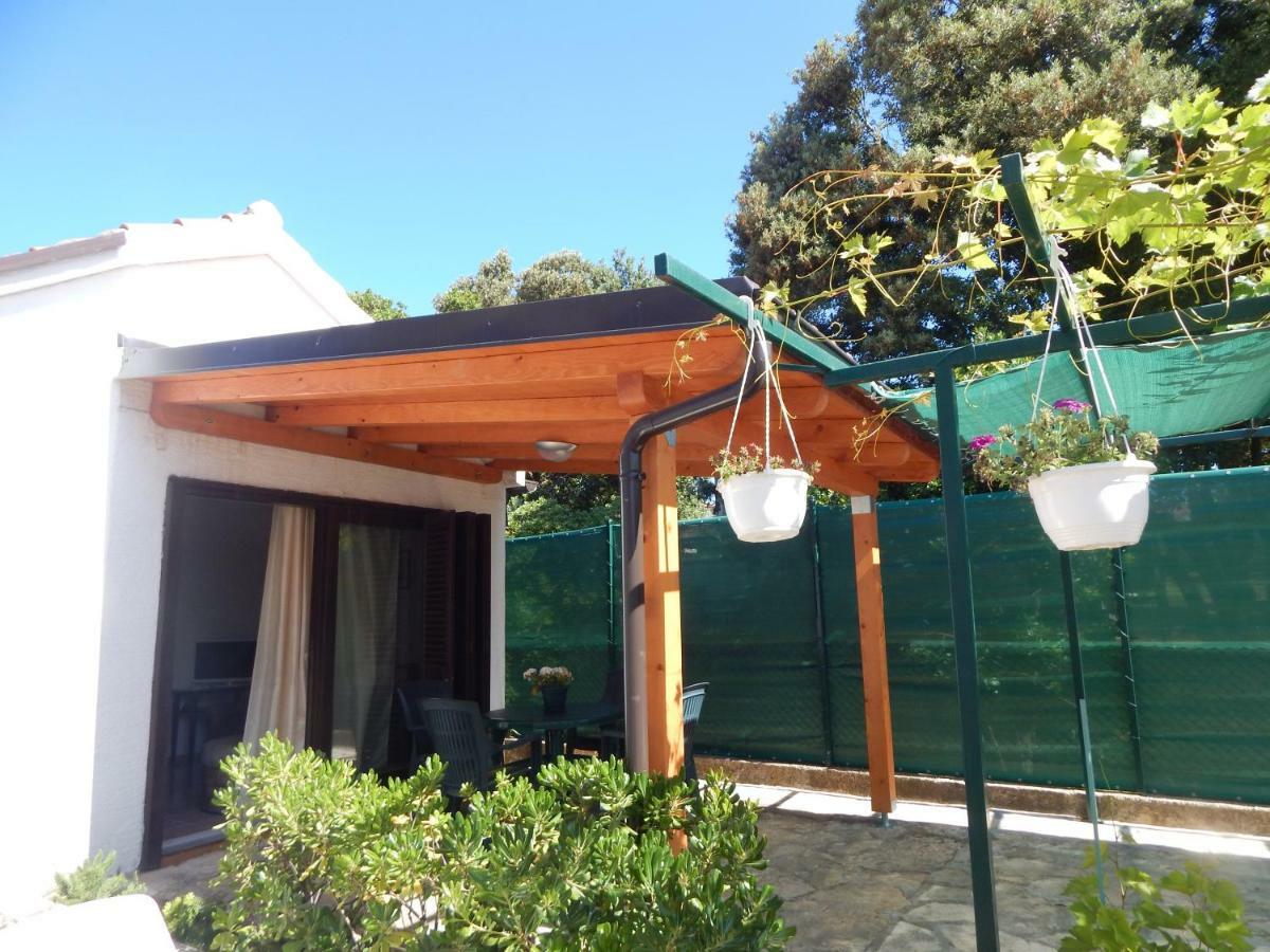 Apartman Duje Petrčane Exterior foto