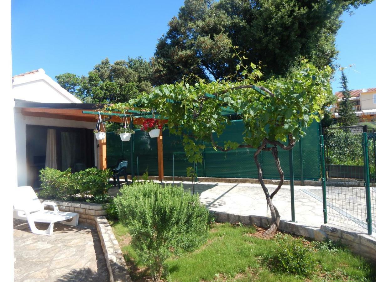 Apartman Duje Petrčane Exterior foto