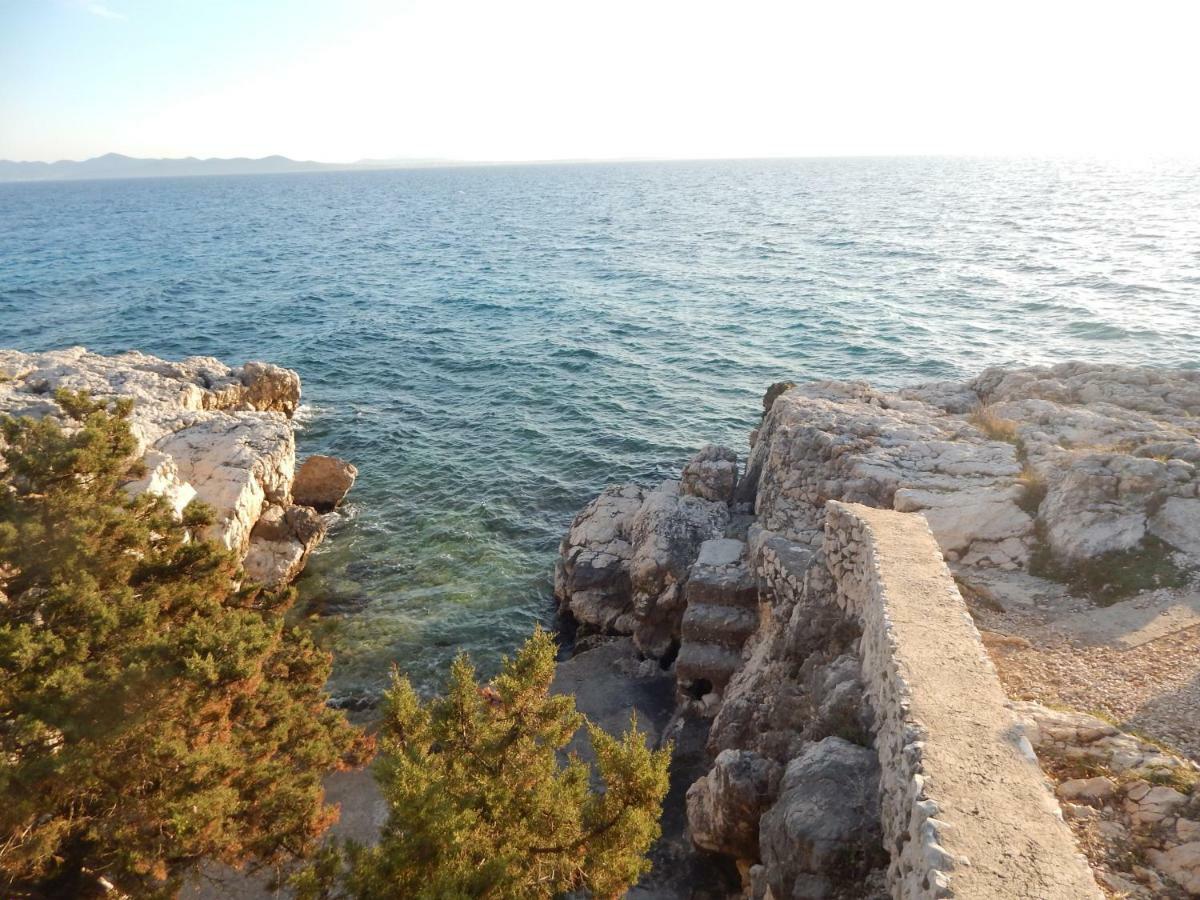 Apartman Duje Petrčane Exterior foto