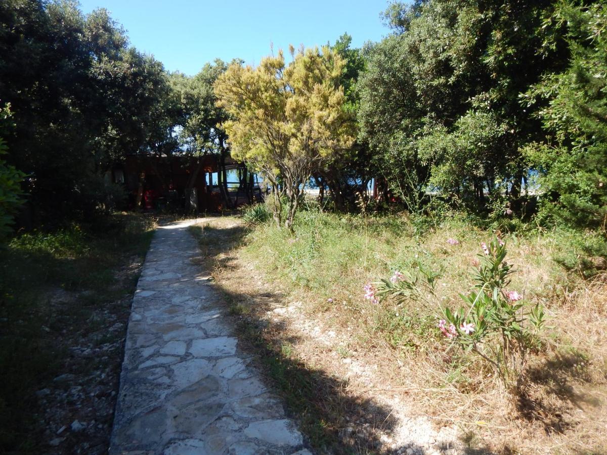 Apartman Duje Petrčane Exterior foto